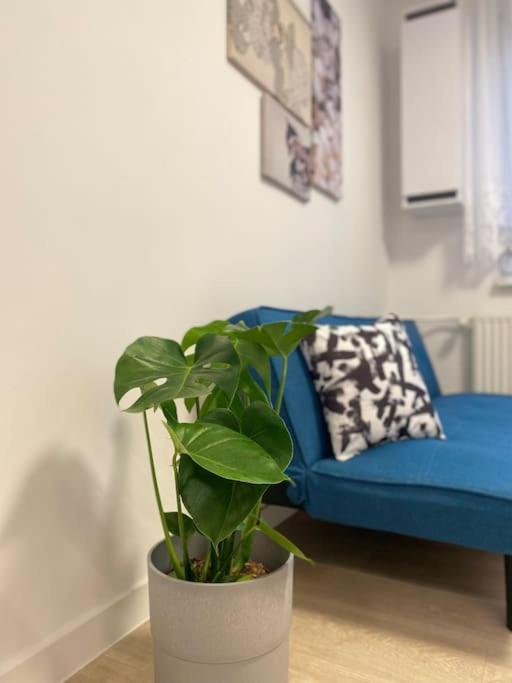Apartman Kristina Štúrovo Екстериор снимка